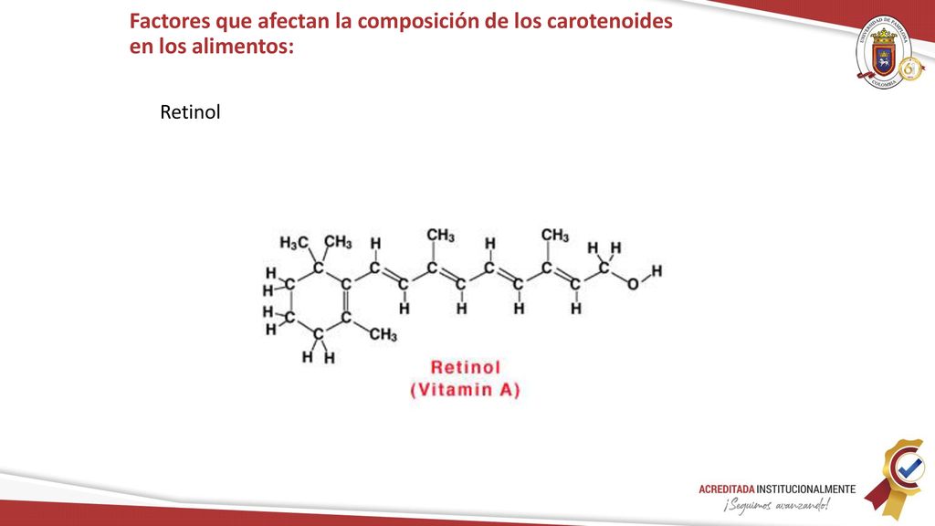 Factores que afectan la composición de los carotenoides en los alimentos: