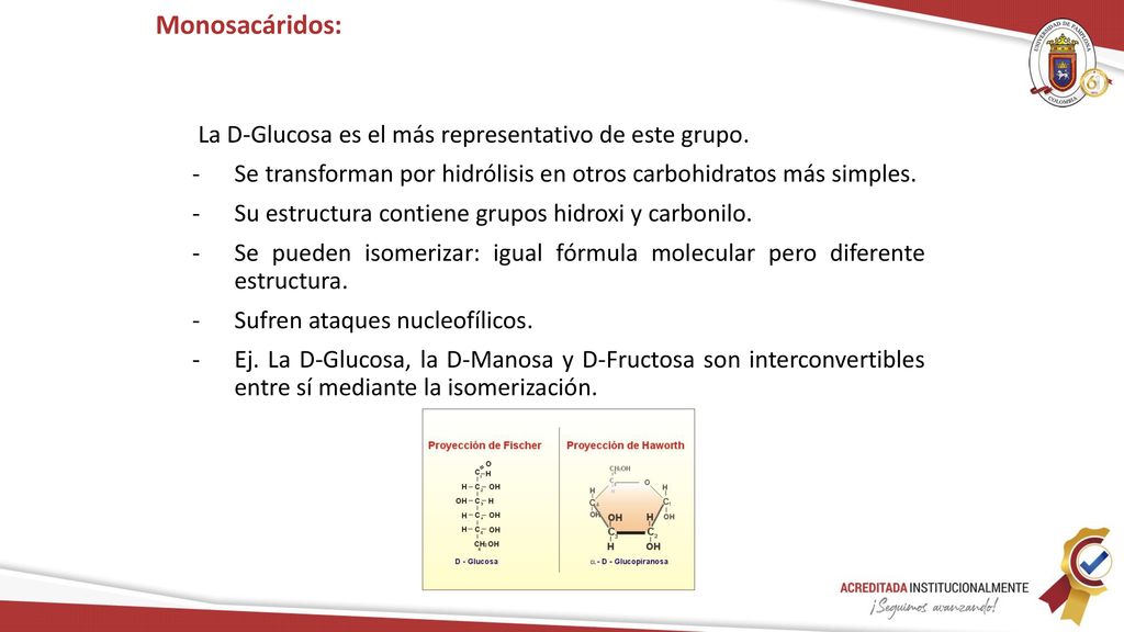 Monosacáridos: La D-Glucosa es el más representativo de este grupo.