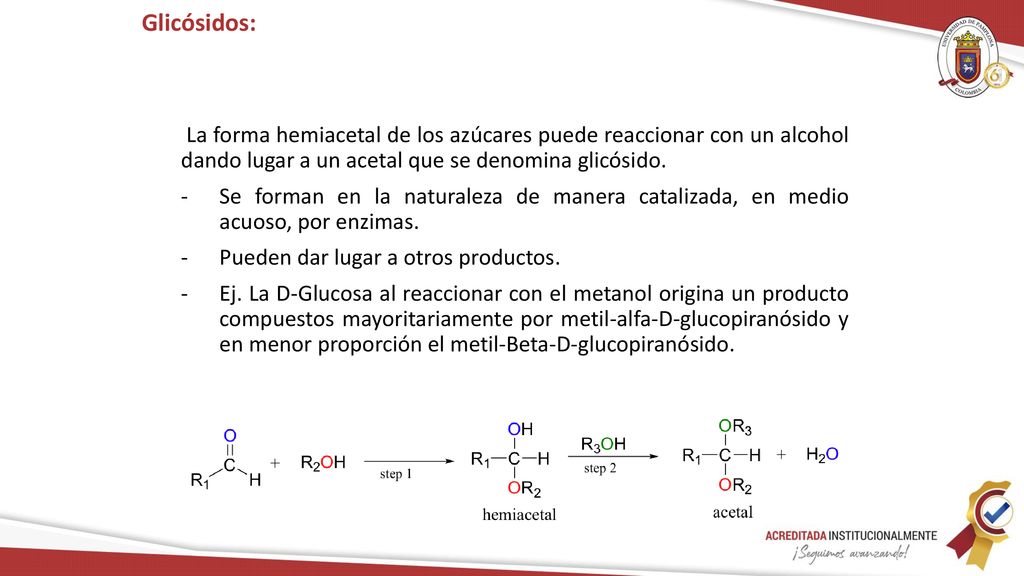 Glicósidos: La forma hemiacetal de los azúcares puede reaccionar con un alcohol dando lugar a un acetal que se denomina glicósido.