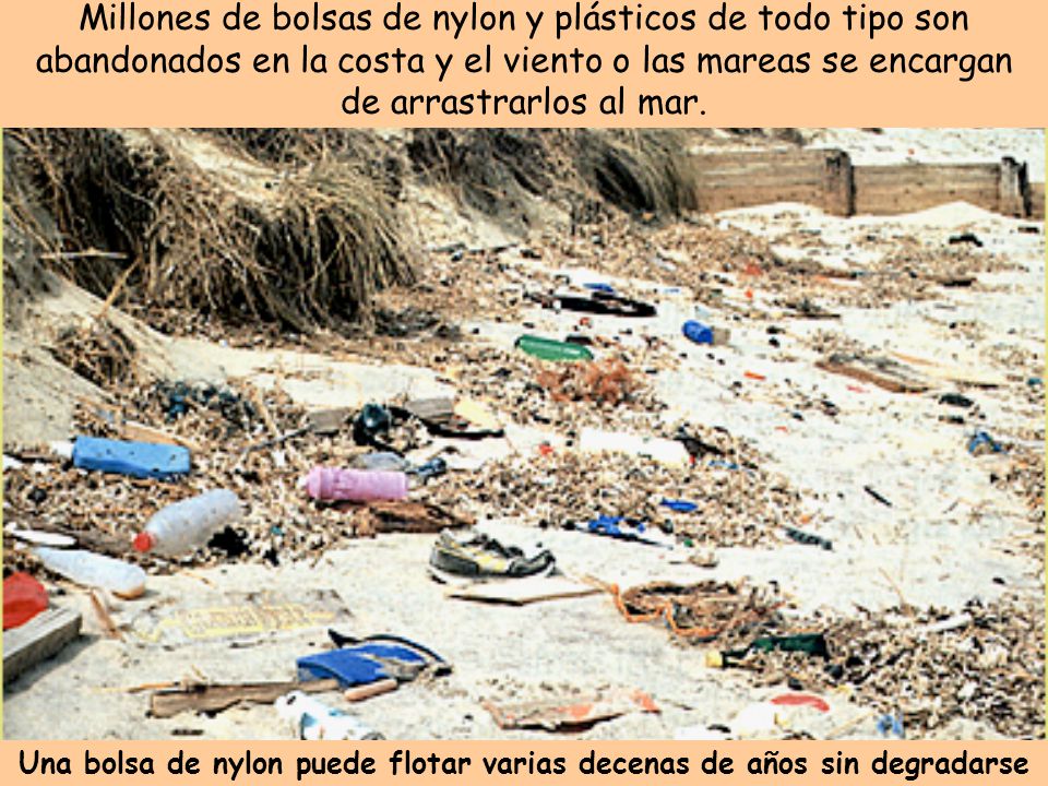 Una bolsa de nylon puede flotar varias decenas de años sin degradarse