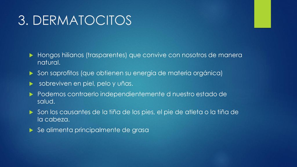 3. DERMATOCITOS Hongos hilianos (trasparentes) que convive con nosotros de manera natural.