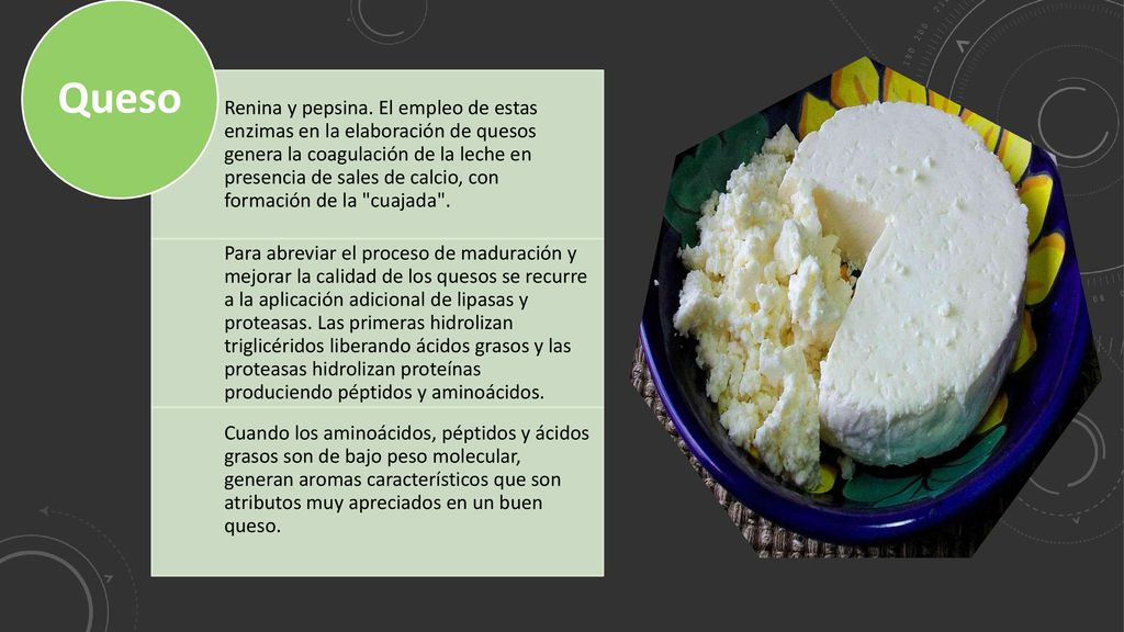 Renina y pepsina. El empleo de estas enzimas en la elaboración de quesos genera la coagulación de la leche en presencia de sales de calcio, con formación de la cuajada .