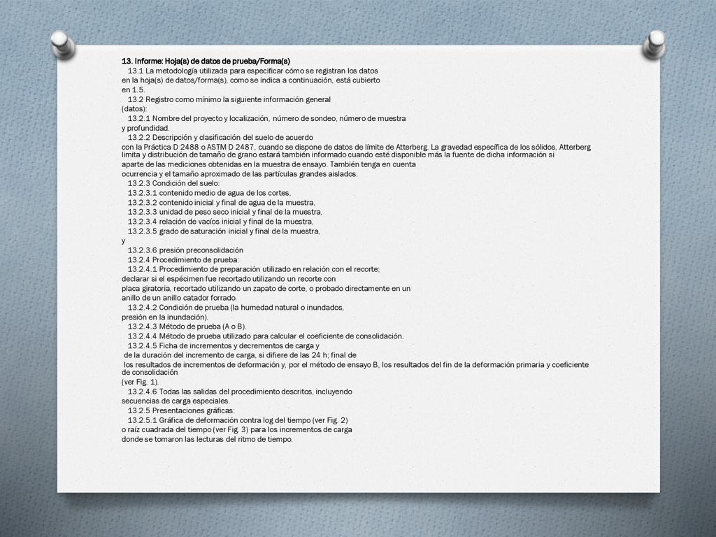 13. Informe: Hoja(s) de datos de prueba/Forma(s) 13