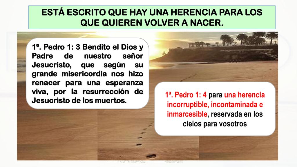 ESTÁ ESCRITO QUE HAY UNA HERENCIA PARA LOS QUE QUIEREN VOLVER A NACER.