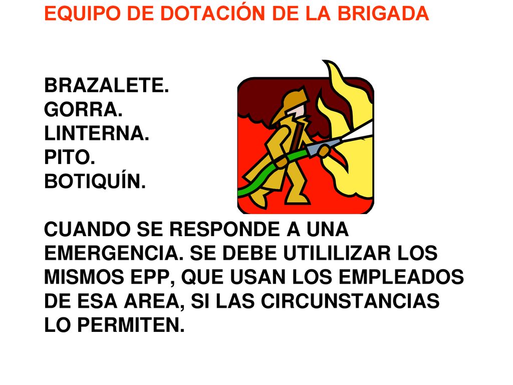 EQUIPO DE DOTACIÓN DE LA BRIGADA BRAZALETE. GORRA. LINTERNA. PITO