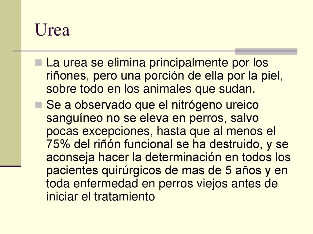 Urea La urea se elimina principalmente por los riñones, pero una porción de ella por la piel, sobre todo en los animales que sudan.