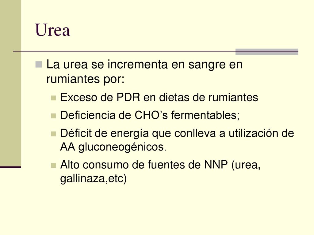 Urea La urea se incrementa en sangre en rumiantes por: