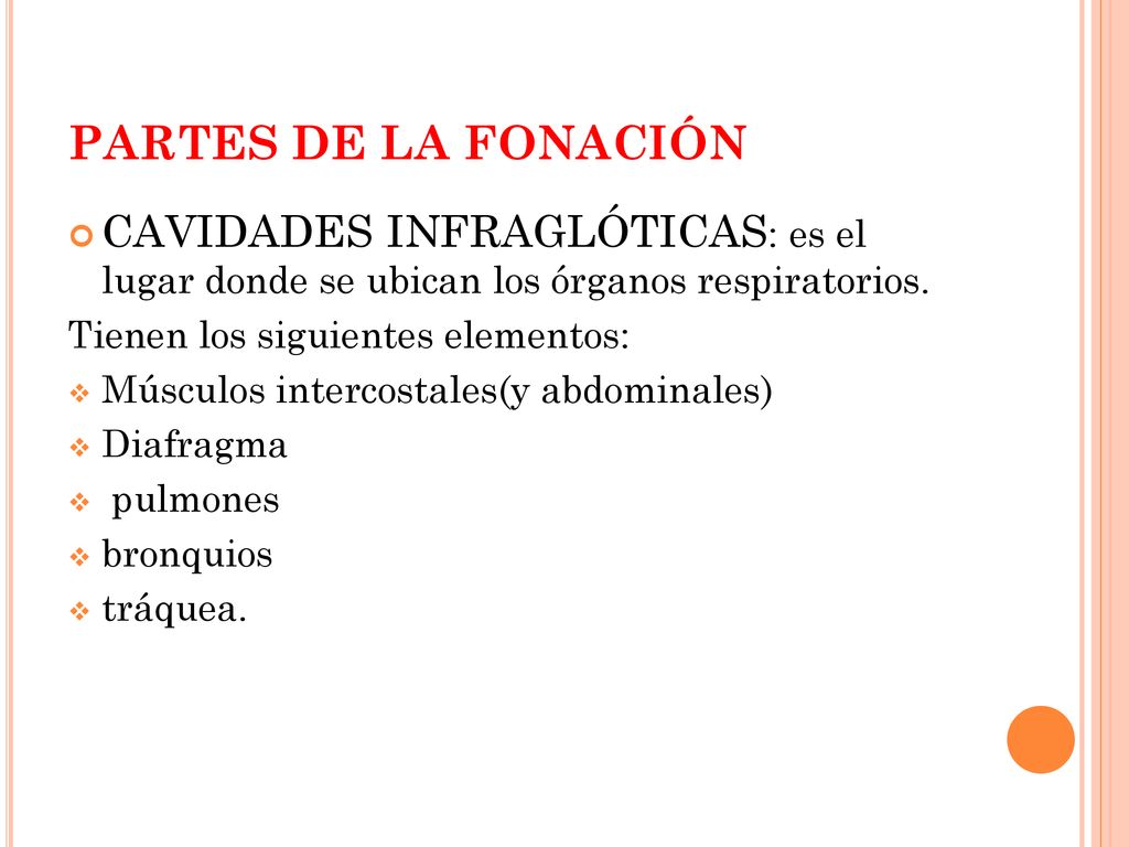 PARTES DE LA FONACIÓN CAVIDADES INFRAGLÓTICAS: es el lugar donde se ubican los órganos respiratorios.