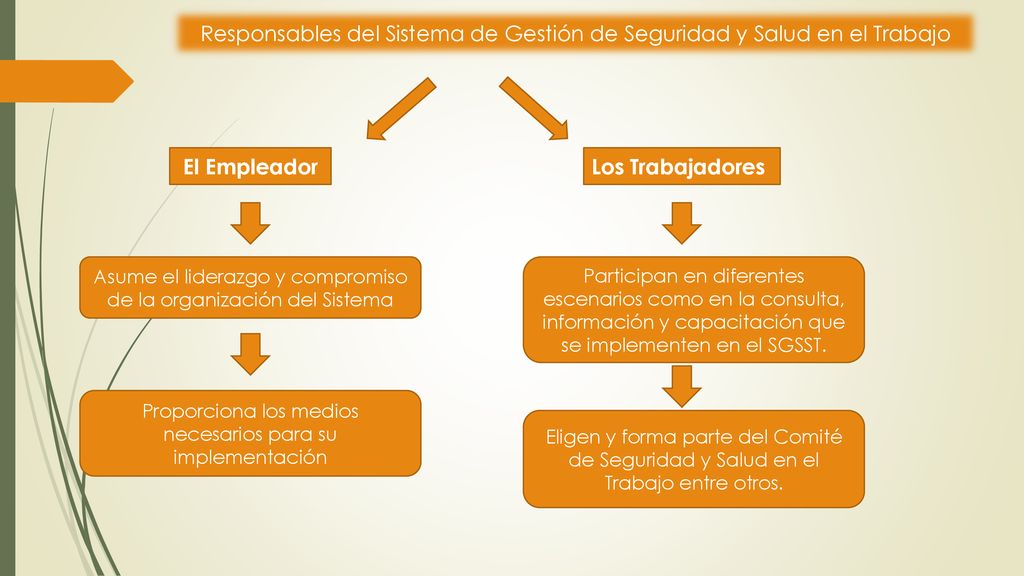 Responsables del Sistema de Gestión de Seguridad y Salud en el Trabajo
