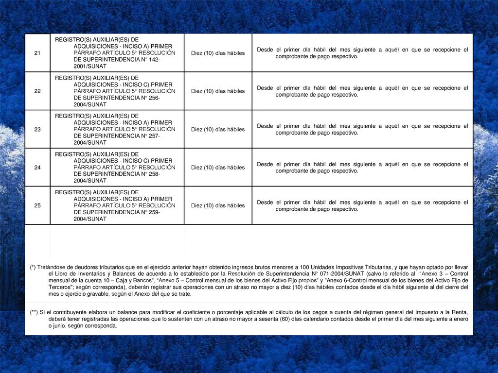 21 REGISTRO(S) AUXILIAR(ES) DE ADQUISICIONES - INCISO A) PRIMER PÁRRAFO ARTÍCULO 5° RESOLUCIÓN DE SUPERINTENDENCIA N° /SUNAT.