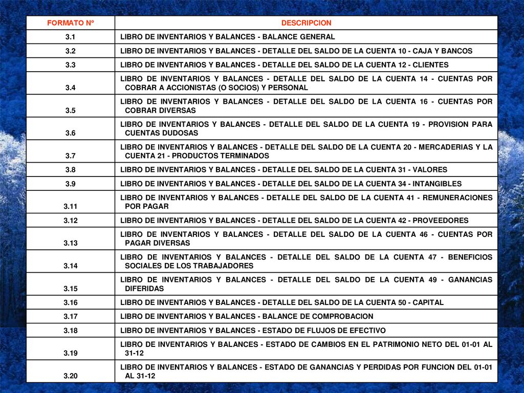 FORMATO Nº DESCRIPCION LIBRO DE INVENTARIOS Y BALANCES - BALANCE GENERAL