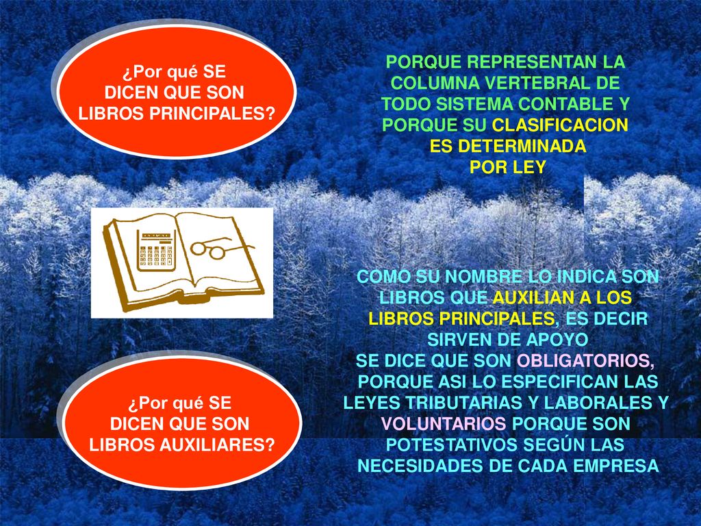 TODO SISTEMA CONTABLE Y PORQUE SU CLASIFICACION ES DETERMINADA POR LEY