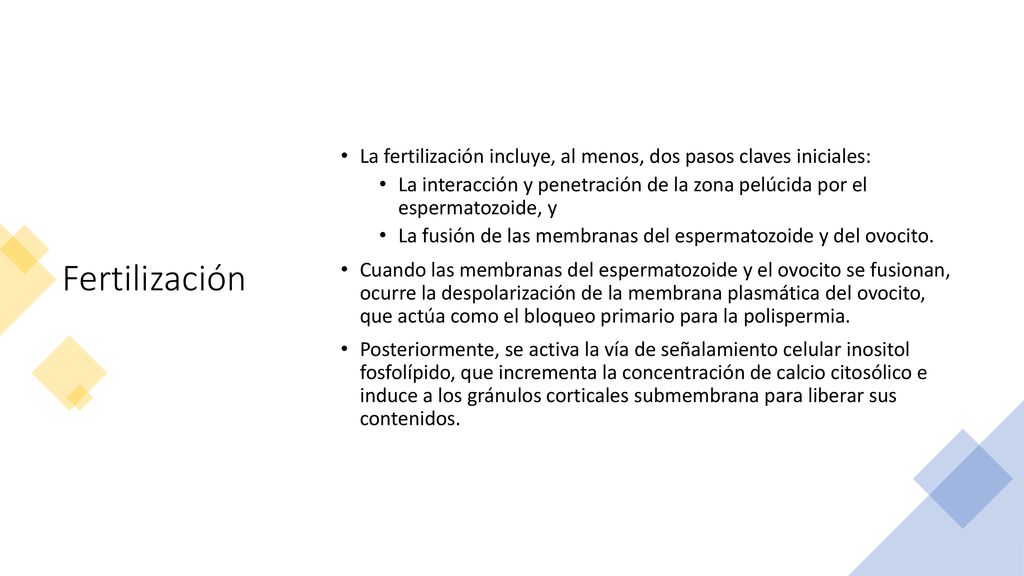 Fertilización La fertilización incluye, al menos, dos pasos claves iniciales: