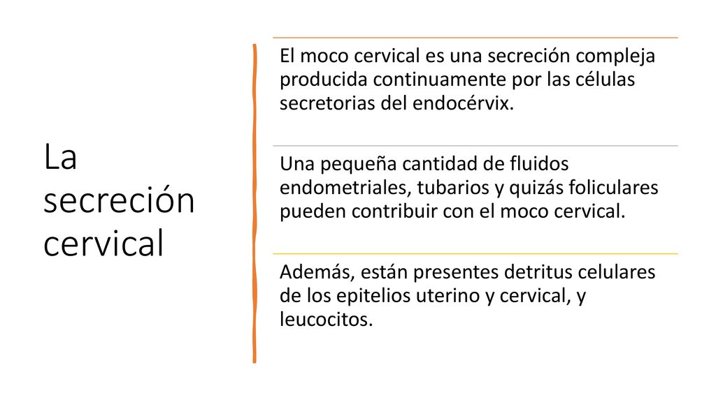 La secreción cervical El moco cervical es una secreción compleja producida continuamente por las células secretorias del endocérvix.