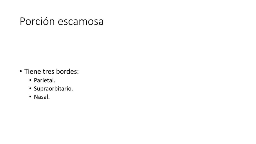 Porción escamosa Tiene tres bordes: Parietal. Supraorbitario. Nasal.