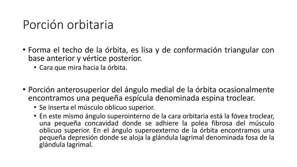 Porción orbitaria Forma el techo de la órbita, es lisa y de conformación triangular con base anterior y vértice posterior.