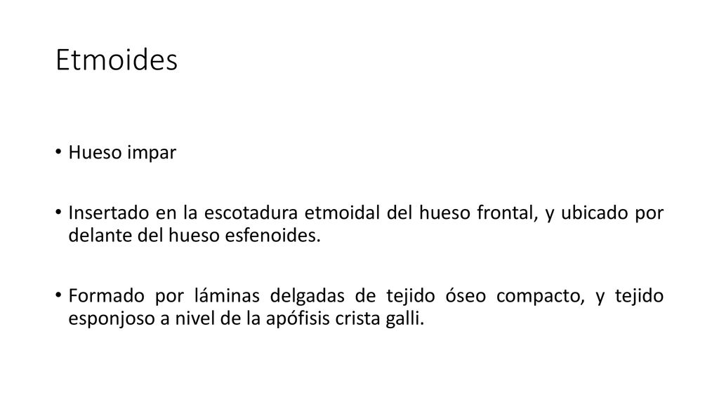 Etmoides Hueso impar. Insertado en la escotadura etmoidal del hueso frontal, y ubicado por delante del hueso esfenoides.