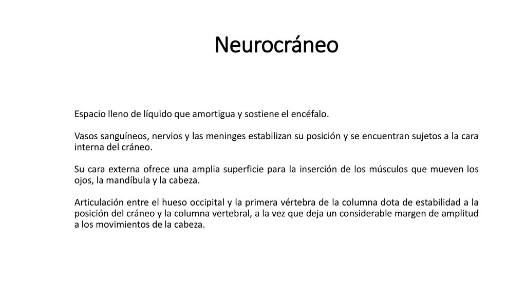 Neurocráneo Espacio lleno de líquido que amortigua y sostiene el encéfalo.