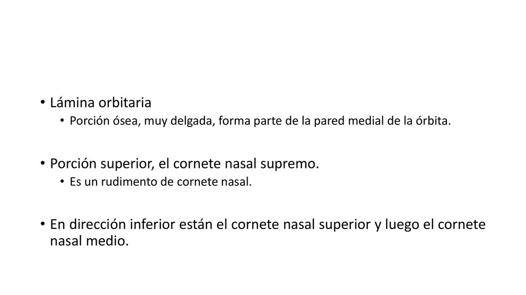 Porción superior, el cornete nasal supremo.