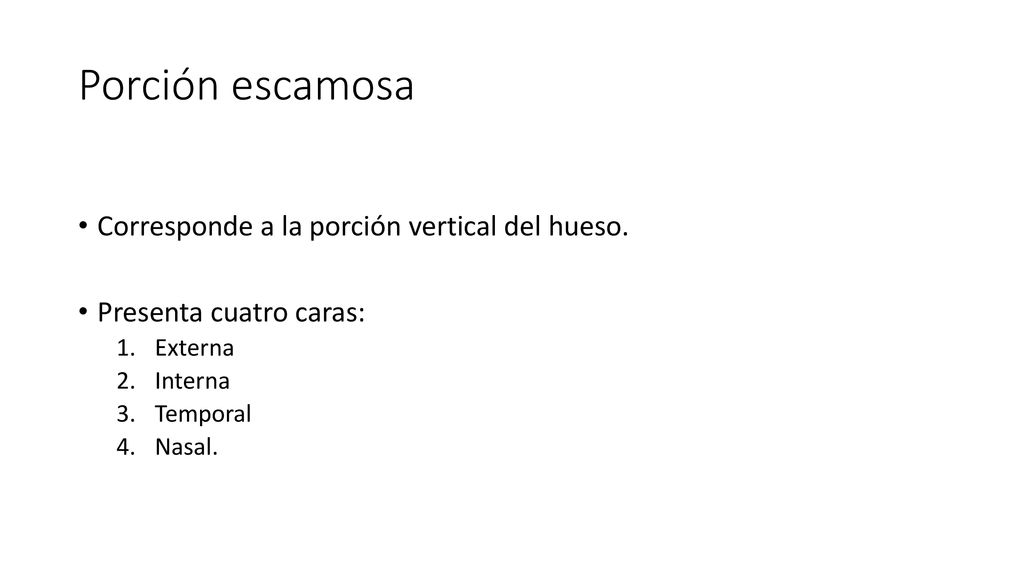 Porción escamosa Corresponde a la porción vertical del hueso.