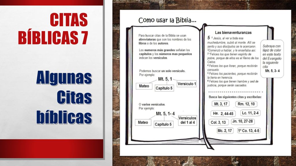 CITAS BÍBLICAS 7 Algunas Citas bíblicas Las diferentes citas bíblicas