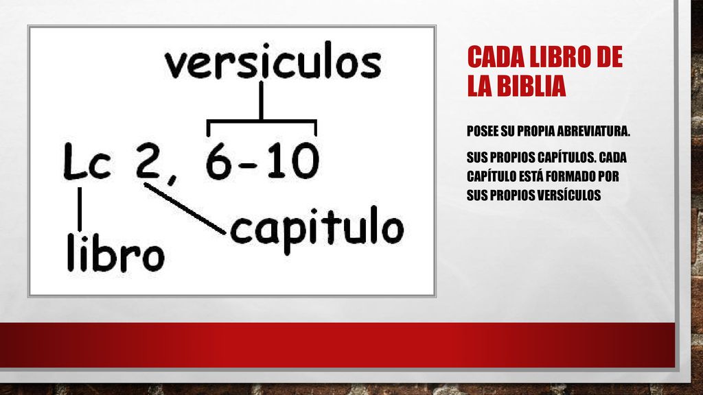 CADA LIBRO DE LA BIBLIA Posee su propia abreviatura. Sus propios capítulos. Cada capítulo está formado por sus propios versículos