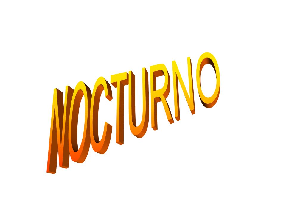 NOCTURNO