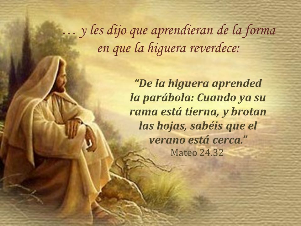 … y les dijo que aprendieran de la forma en que la higuera reverdece: