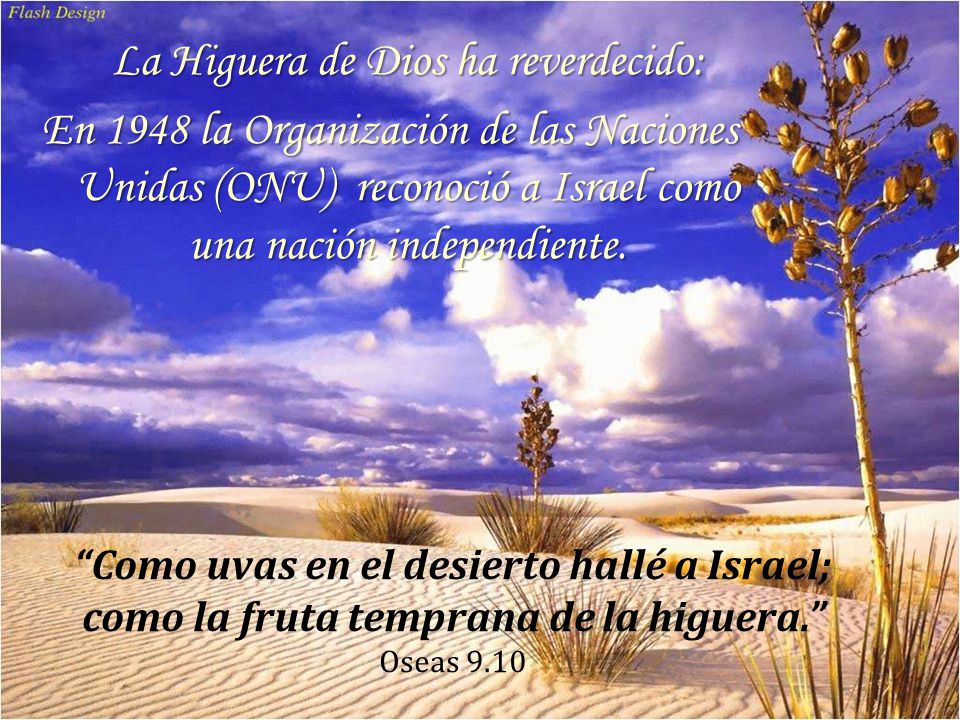 La Higuera de Dios ha reverdecido: En 1948 la Organización de las Naciones Unidas (ONU) reconoció a Israel como una nación independiente.