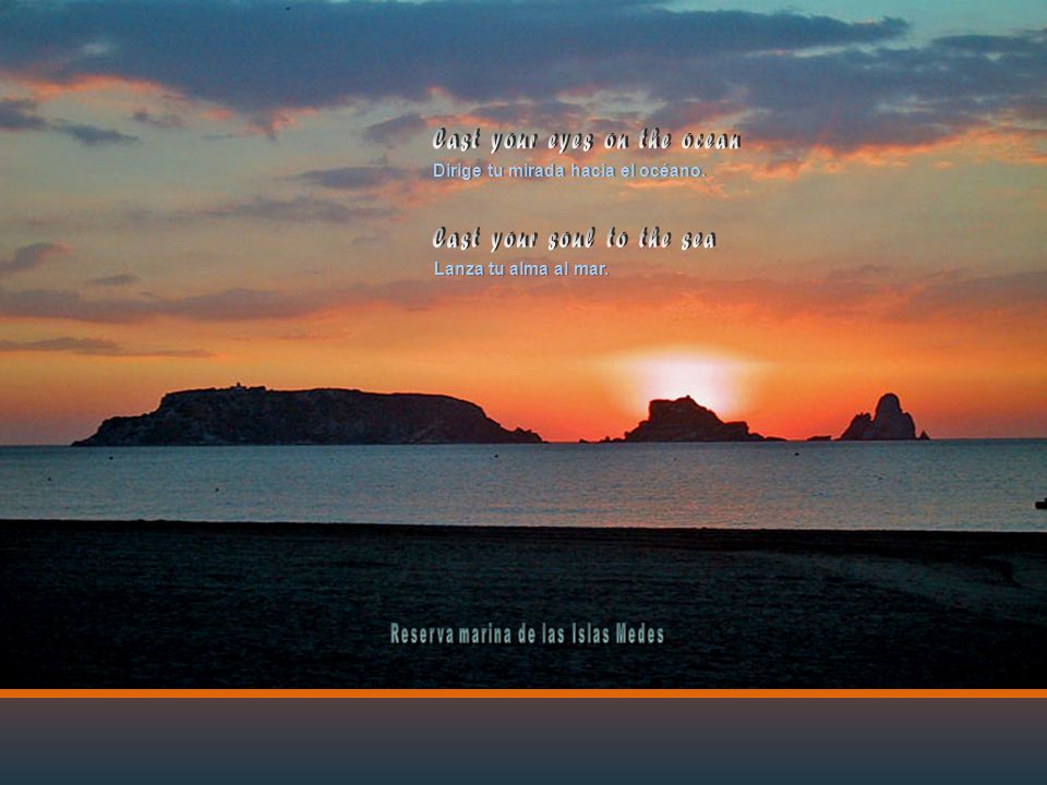 Dirige tu mirada hacia el océano. Reserva marina de las Islas Medes