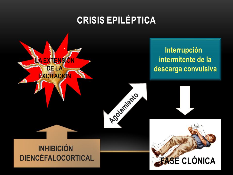 CRISIS EPILÉPTICA FASE CLÓNICA Interrupción intermitente de la