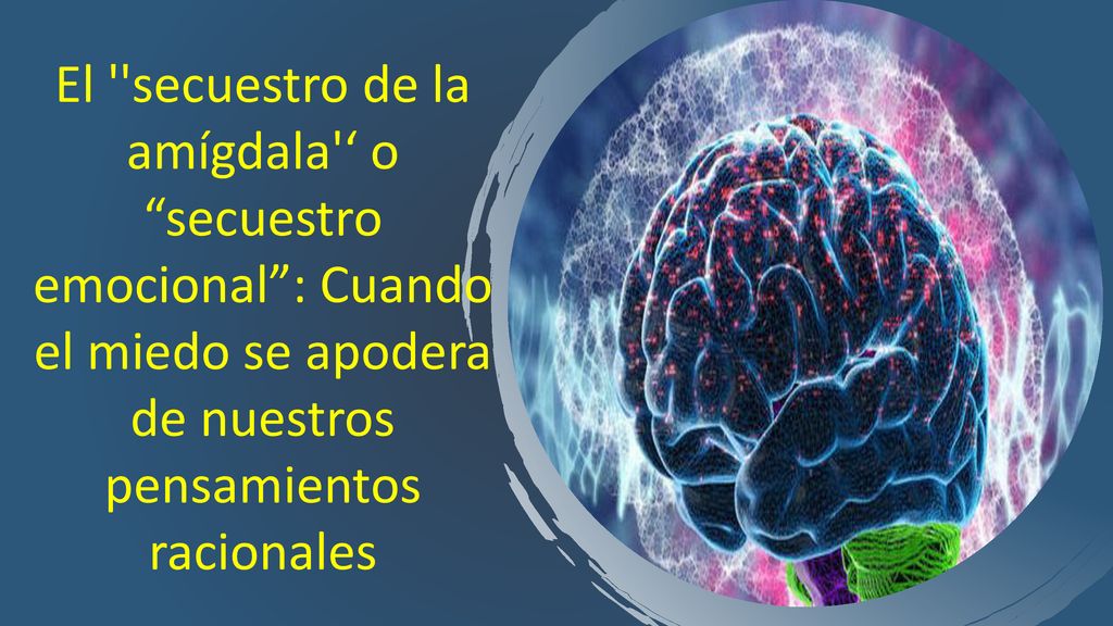 El secuestro de la amígdala ‘ o secuestro emocional : Cuando el miedo se apodera de nuestros pensamientos racionales