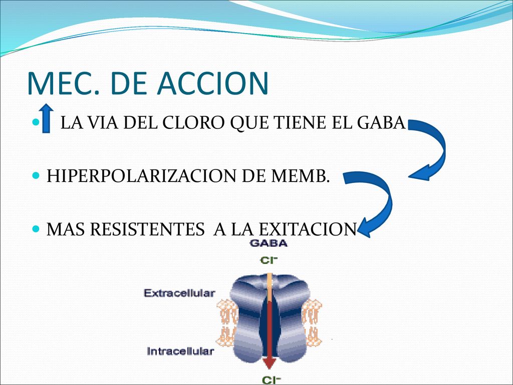 MEC. DE ACCION LA VIA DEL CLORO QUE TIENE EL GABA