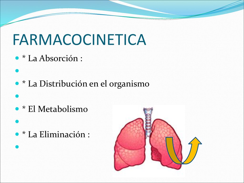 FARMACOCINETICA * La Absorción : * La Distribución en el organismo