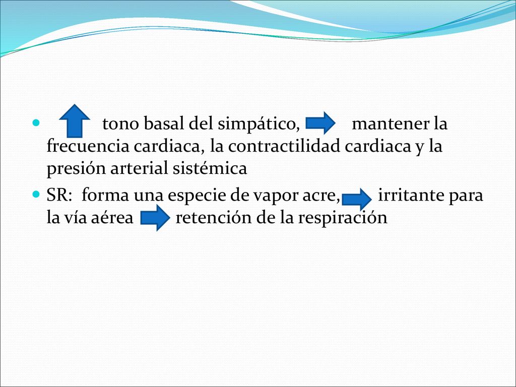 tono basal del simpático, mantener la frecuencia cardiaca, la contractilidad cardiaca y la presión arterial sistémica