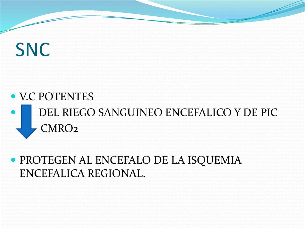 SNC V.C POTENTES DEL RIEGO SANGUINEO ENCEFALICO Y DE PIC CMRO2