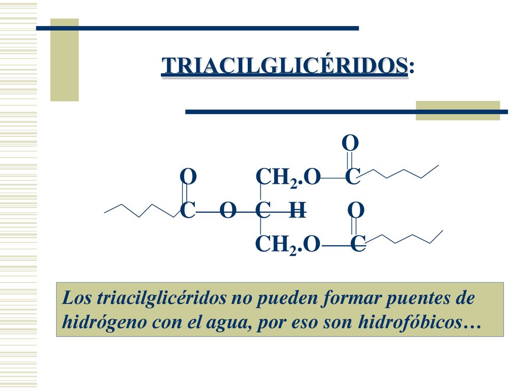 TRIACILGLICÉRIDOS: O O CH2.O C C O C H O CH2.O C