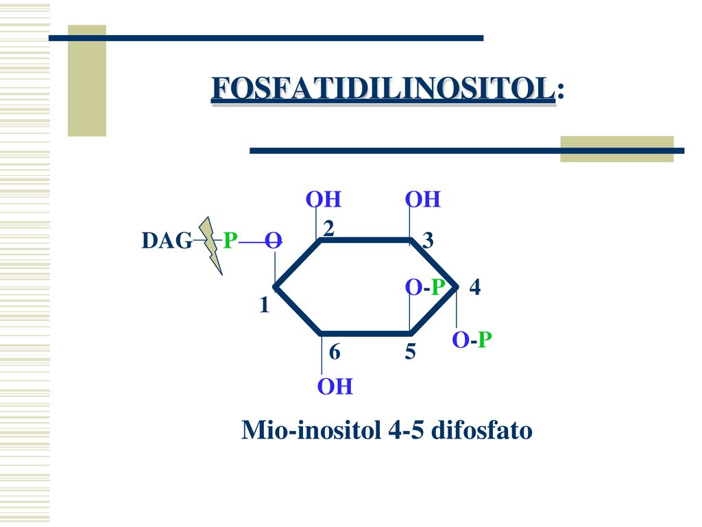FOSFATIDILINOSITOL: Mio-inositol 4-5 difosfato OH OH 2 DAG P O 3 O-P 4