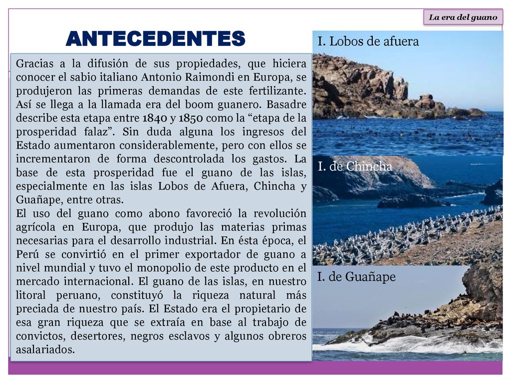 ANTECEDENTES I. Lobos de afuera I. de Chincha I. de Guañape
