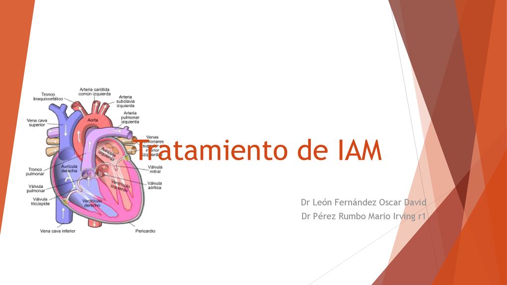 Dr León Fernández Oscar David Dr Pérez Rumbo Mario Irving r1