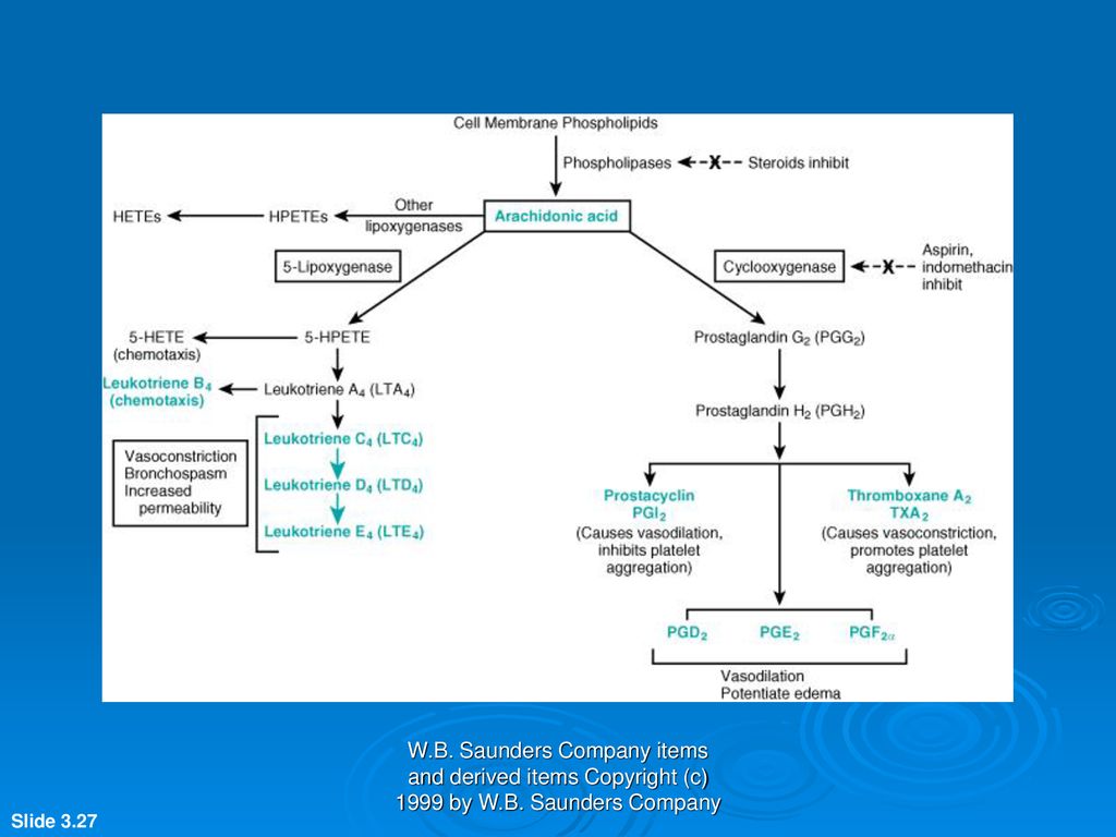 W. B. Saunders Company items and derived items Copyright (c) 1999 by W