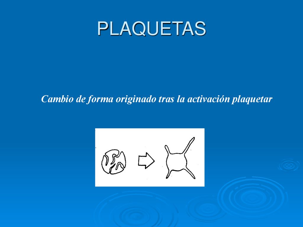 PLAQUETAS Cambio de forma originado tras la activación plaquetar