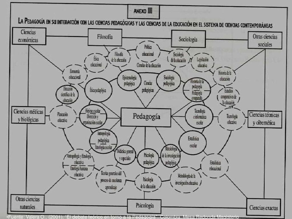 Fuente: Valera O., (2001). El debate teórico en torno a la Pedagogía .