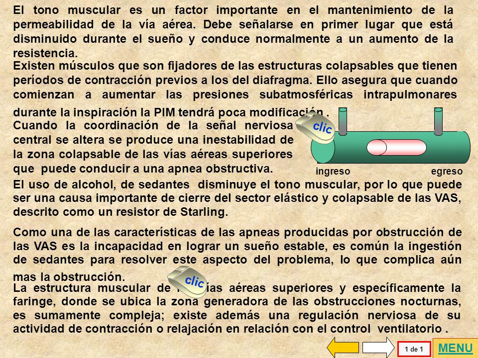 El tono muscular es un factor importante en el mantenimiento de la permeabilidad de la vía aérea. Debe señalarse en primer lugar que está disminuido durante el sueño y conduce normalmente a un aumento de la resistencia.