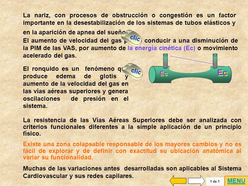 La nariz, con procesos de obstrucción o congestión es un factor importante en la desestabilización de los sistemas de tubos elásticos y en la aparición de apnea del sueño.