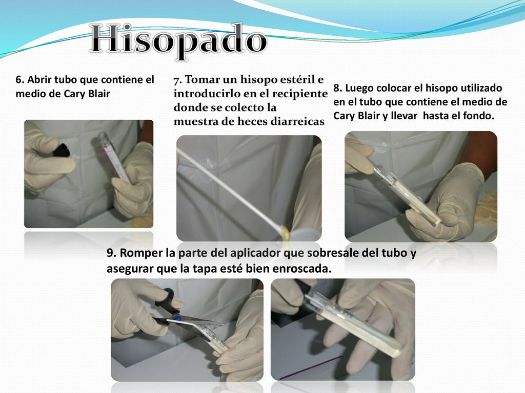 Hisopado 6. Abrir tubo que contiene el medio de Cary Blair. 7. Tomar un hisopo estéril e introducirlo en el recipiente donde se colecto la.