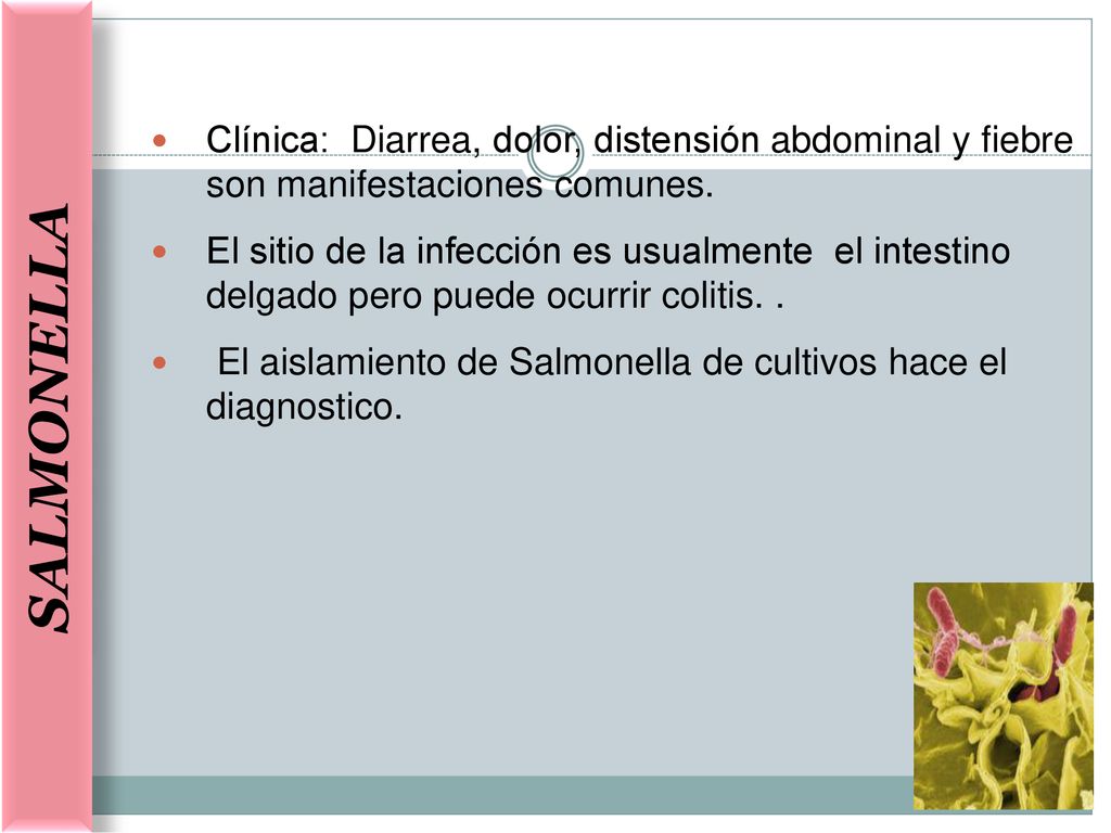 salmonella Clínica: Diarrea, dolor, distensión abdominal y fiebre son manifestaciones comunes.