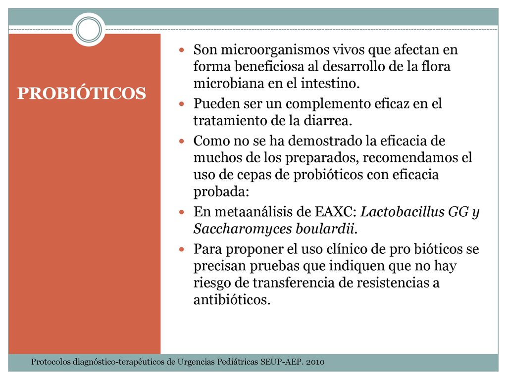 Son microorganismos vivos que afectan en forma beneficiosa al desarrollo de la flora microbiana en el intestino.