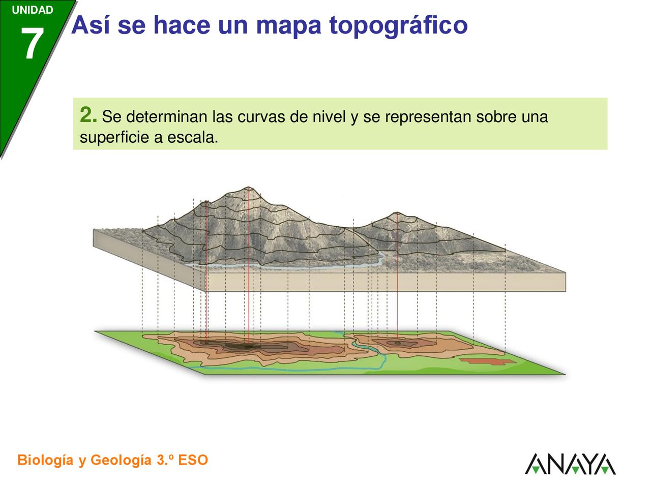 2. Se determinan las curvas de nivel y se representan sobre una superficie a escala.
