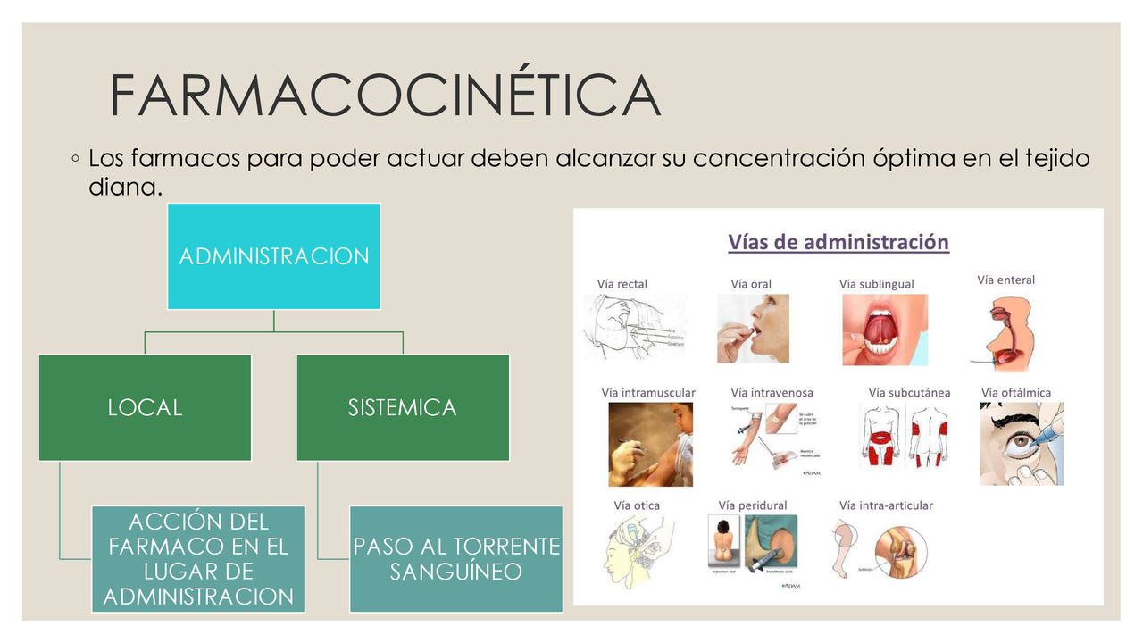FARMACOCINÉTICA Los farmacos para poder actuar deben alcanzar su concentración óptima en el tejido diana.